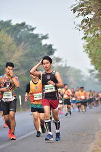 BIB: 27240, 20456
                            <button type="button" onclick="openModal(10140077)" class="btn btn-primary btn-sm float-right btn-popup" data-toggle="modal" data-target=".modal-high-quality">
                        <i class="fas fa-shopping-cart"></i> Add to Cart
                    </button>
                                            <button type="button" onclick="isThisMe(10140077, true)" class="btn btn-success btn-sm float-right btn-popup btn-isme hidden" data-toggle="tooltip" data-placement="bottom" title="นี่คือรูปของคุณใช่ไหม คลิกที่นี่เพื่อเอาเข้าอัลบั้ม">
                        <i class="fas fa-plus"></i> Add to album
                    </button>
                    <button type="button" onclick="isThisMe(10140077, false)" class="btn btn-warning btn-sm float-right btn-popup btn-isnotme hidden">
                        <i class="fas fa-ban"></i> Remove from album
                    </button>
